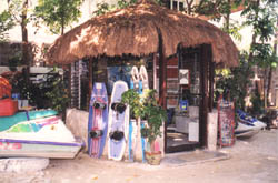 Aquasports in Cebu