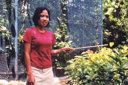 Butterfly Sanctuary