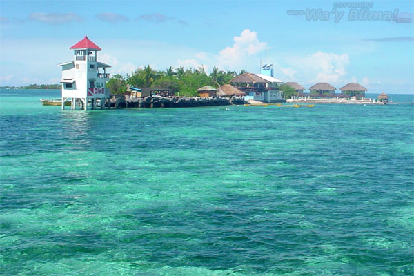 nalusuan island